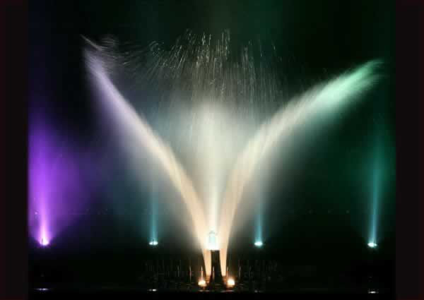 Чайка Крылья Фонтан