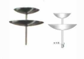 Два блюда весны